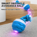 Interactive Dog Pull Toy - dog product photo (view 4)