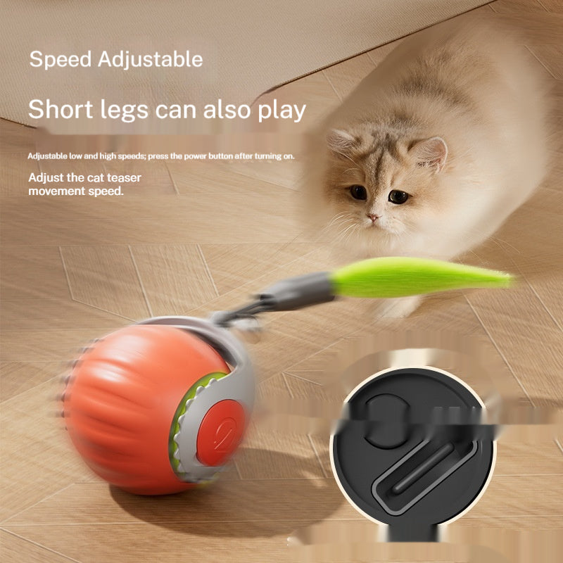 Automatic Cat Toy Ball - cat product photo (view 3)