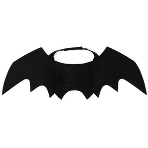 The Bat Wings That Turn Your Cat Into the Halloween Decoration