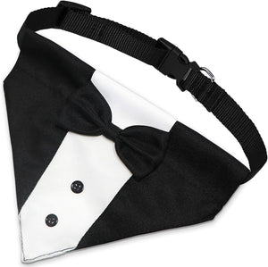 The Tuxedo Your Dog Can Wear Without Trying on a Single Sleeve