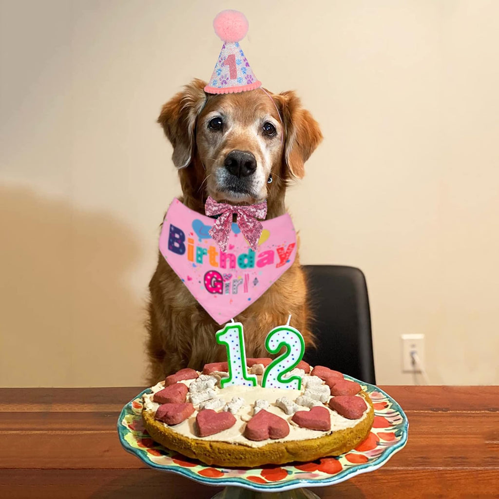 The Birthday Girl Kit That Makes the Whole Party About the Dog - dog product photo (view 7)