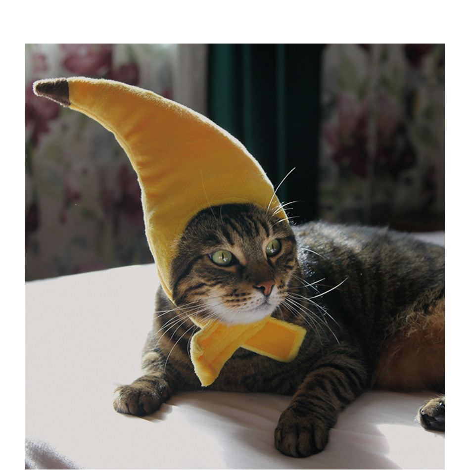 Banana Costume Hat for Dogs (view 4)