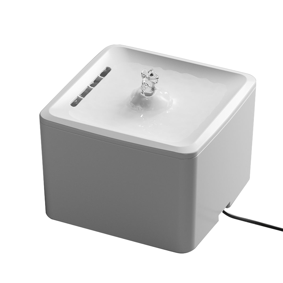 Square Water Dispenser - pet product photo (view 5)