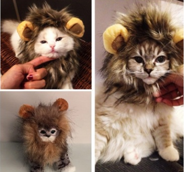 Lion Mane Hat for Dogs (view 3)