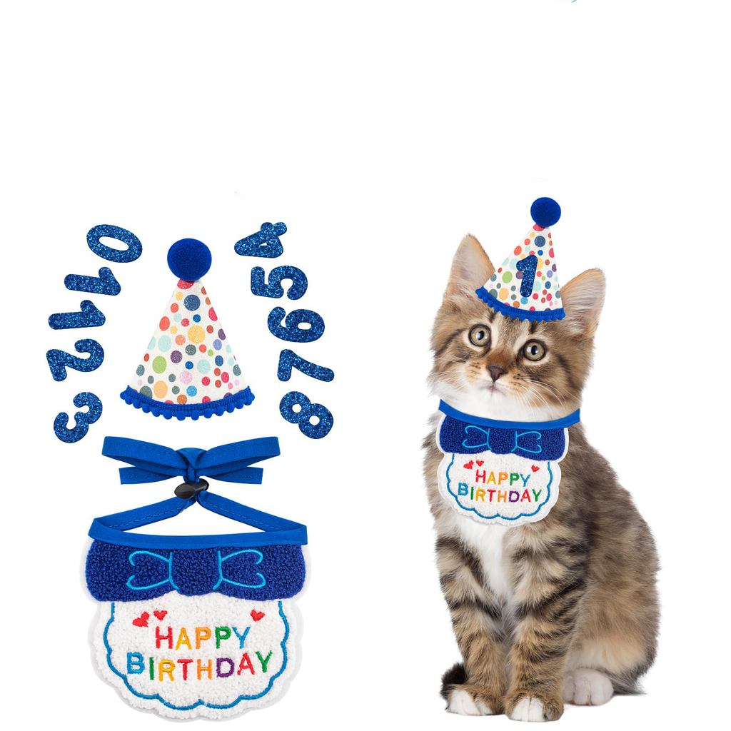 The Cat Birthday Set for the Four Seconds They Will Tolerate It - cat product photo (view 2)
