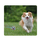 Dog Ball Toy, Dog Interactive Toy with Ring Bell Squeak - dog product photo (view 6)