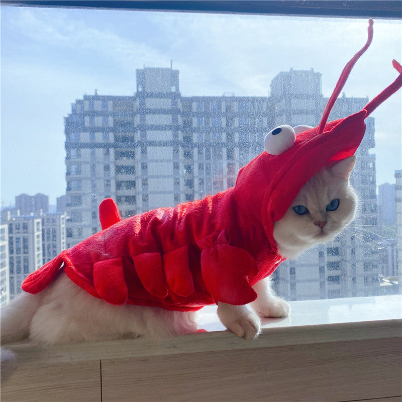 Lobster Costume for Dogs (view 3)