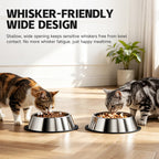 Stainless Steel Food Water Shallow Whisker Friendly Cat Pet - cat product photo (view 4)