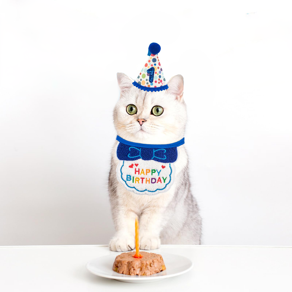 The Cat Birthday Set for the Four Seconds They Will Tolerate It - cat product photo (view 4)