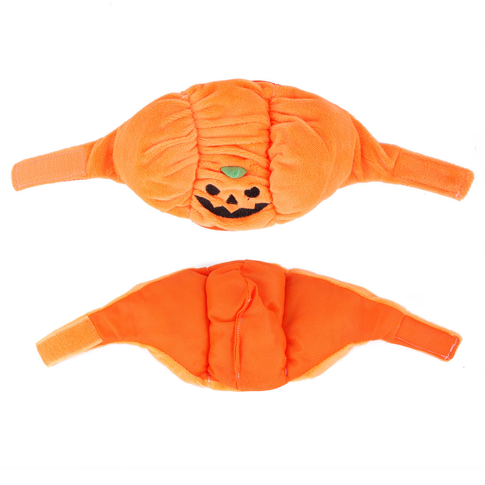 Pumpkin Hat Halloween Costume for Cats & Small Dogs (view 4)