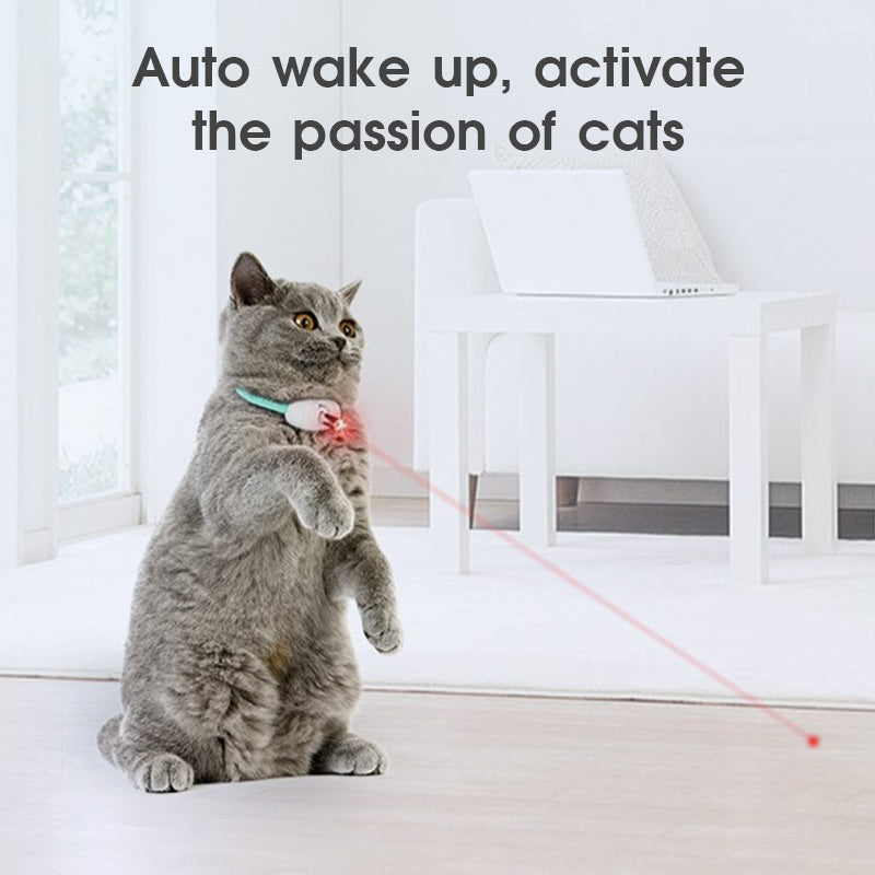 Laser Cat Collar - cat product photo (view 3)