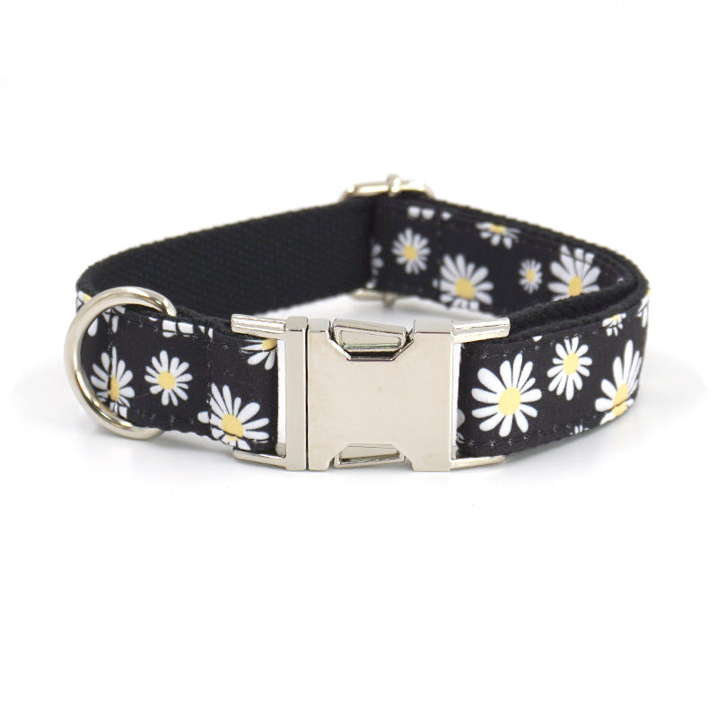 Engraved Dog Collar and Leash - dog product photo (view 6)