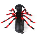Spider Costume for Dogs (view 5)