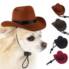 Small Cowboy Hat for Dogs (view 3)