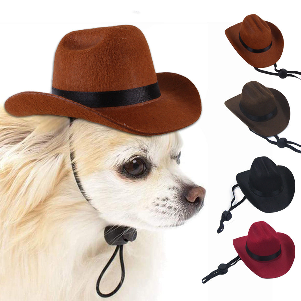 Small Cowboy Hat for Dogs (view 3)