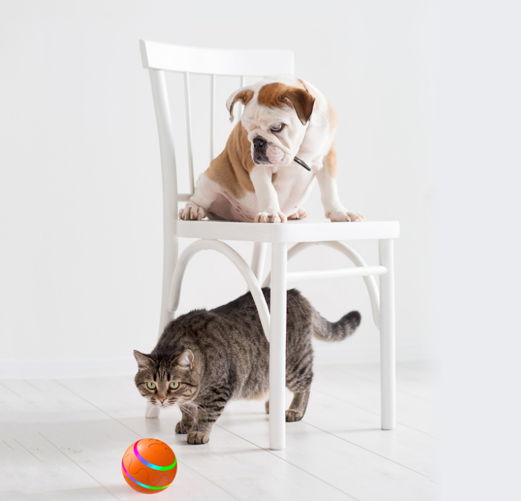 Self-Rolling Cat Ball - cat product photo (view 4)