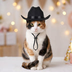 Small Cowboy Hat for Dogs (view 4)