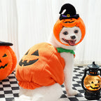 Pumpkin Harness Vest for Dogs (view 2)