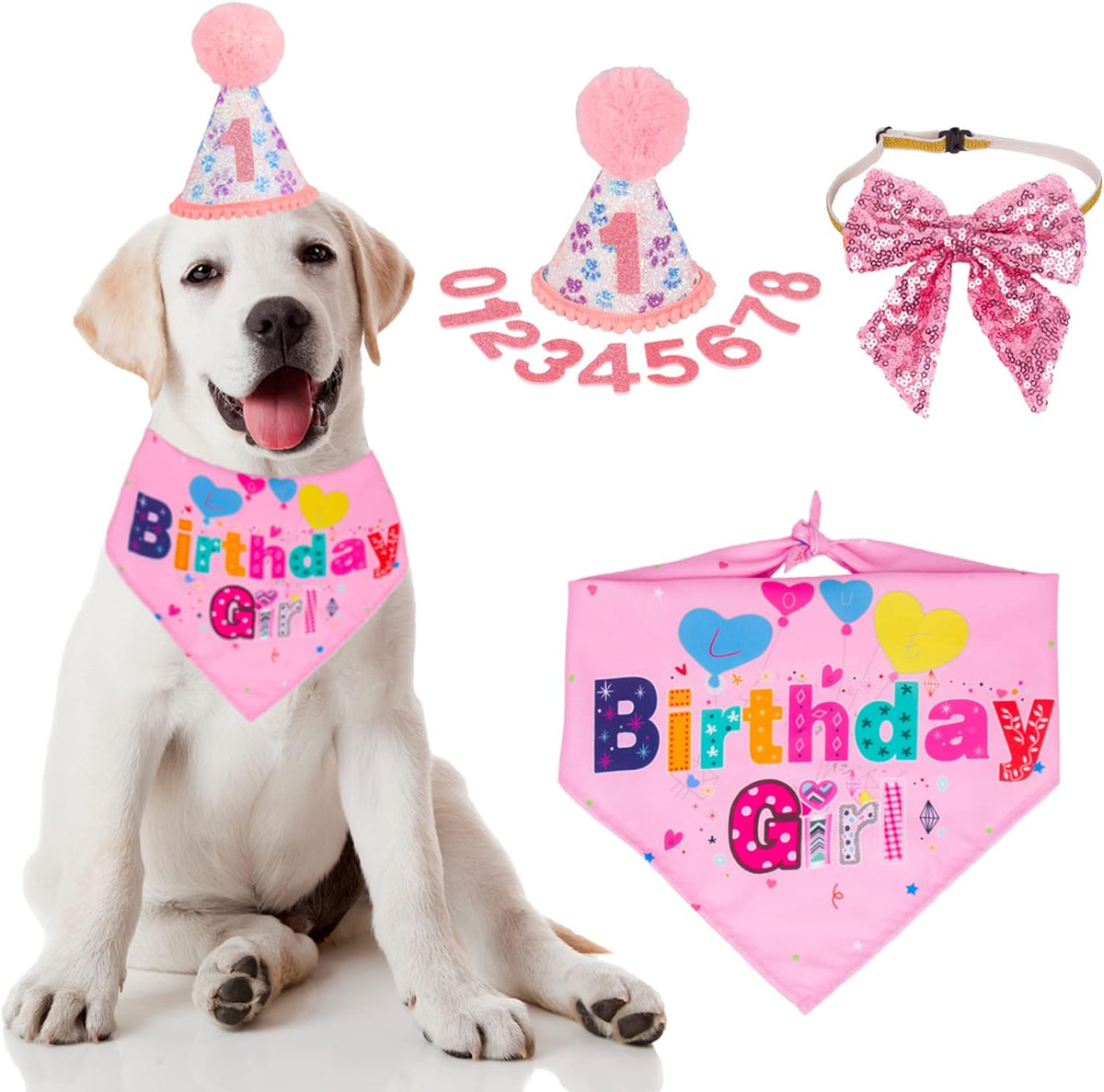 The Birthday Girl Kit That Makes the Whole Party About the Dog - dog product photo (view 4)
