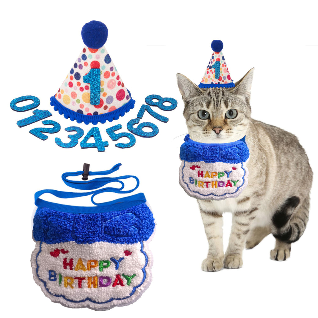 The Cat Birthday Set for the Four Seconds They Will Tolerate It - cat product photo