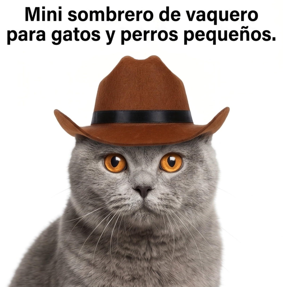 Small Cowboy Hat for Dogs (view 5)
