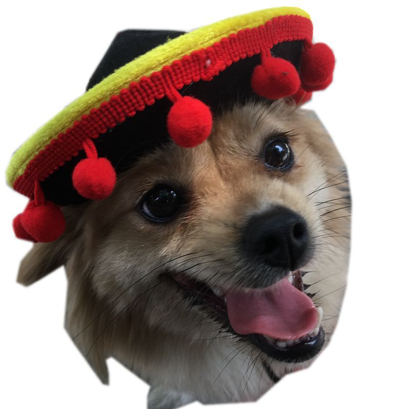 Hot Dog Costume Hat for Dogs (view 2)