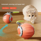 Automatic Cat Toy Ball - cat product photo