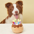 The Birthday Cake Your Dog Is Actually Allowed to Destroy - dog product photo (view 2)