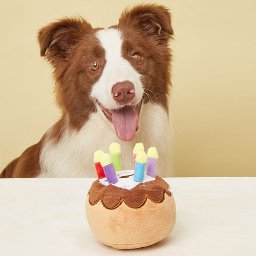 The Birthday Cake Your Dog Is Actually Allowed to Destroy - dog product photo (view 2)