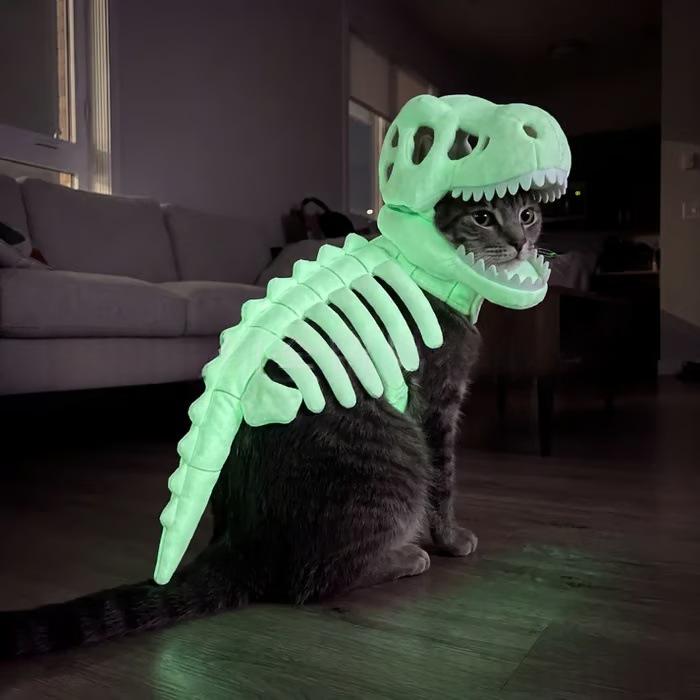 Skeleton Dinosaur Hood for Dogs