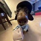 Halloween Express Costume for Small Dogs (view 4)