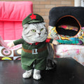 Halloween Costume for Dogs, 4 Styles to Pick