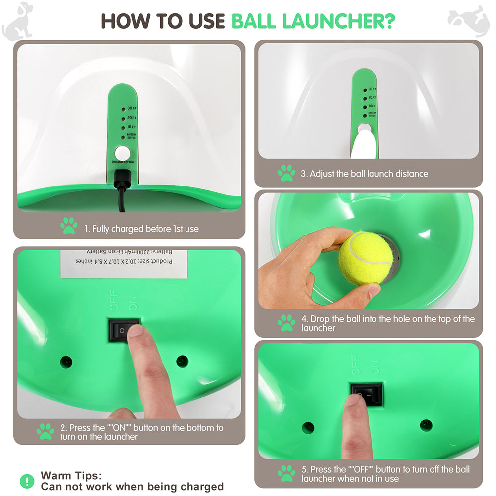 Automatic Dog Ball Launcher - dog product photo (view 4)