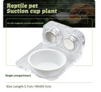 Climbing Pet Magnetic Sucking Basin Eyelash Horn Fruit Mud - pet product photo (view 6)