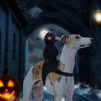 Hooded Rider Costume for Dogs (view 3)