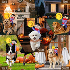 Cowboy Rider Costume for Dogs (view 5)