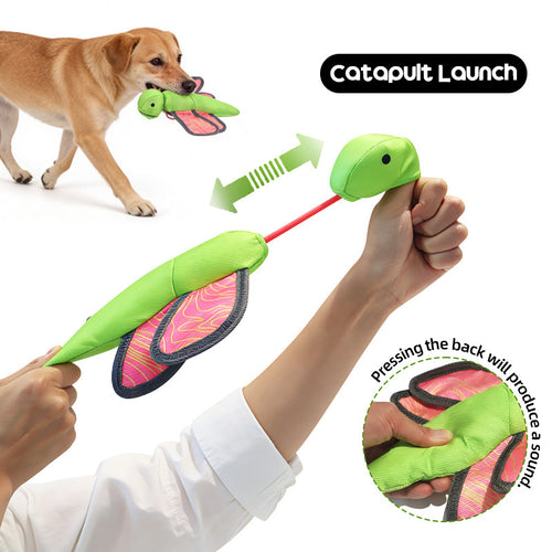 Cat Toy Launcher with Flying Bug Toys - dog and cat product photo