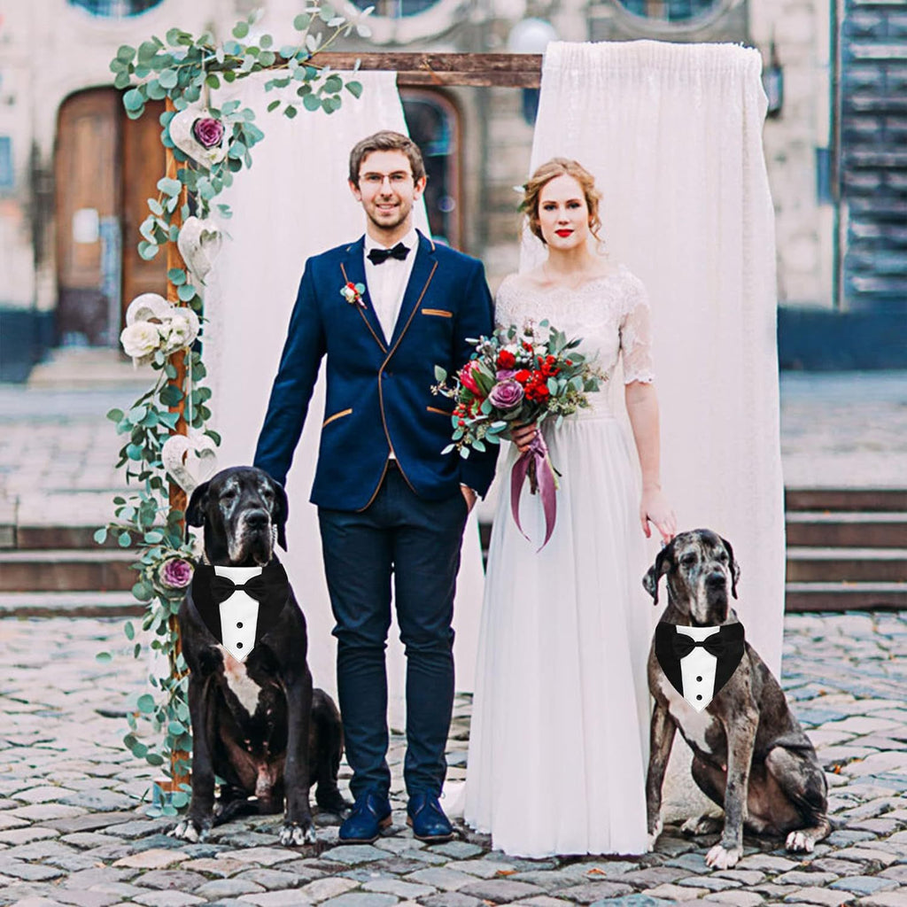 The Tuxedo Your Dog Can Wear Without Trying on a Single Sleeve - dog product photo (view 6)