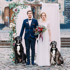 The Tuxedo Your Dog Can Wear Without Trying on a Single Sleeve - dog product photo (view 6)