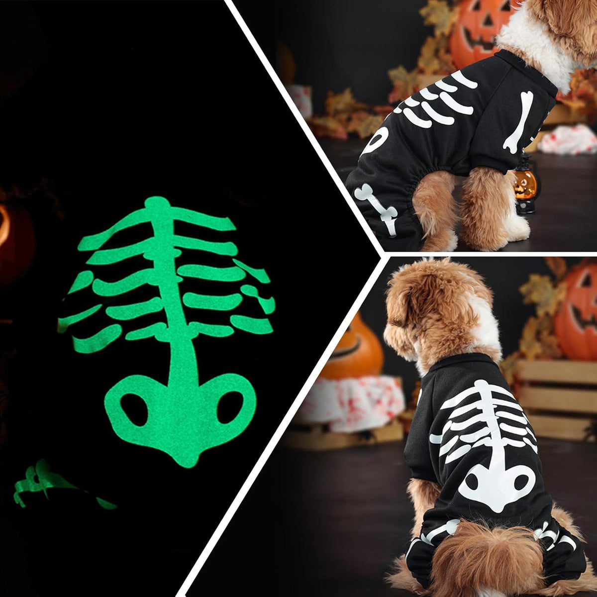 Glow-in-the-Dark Skeleton Costume for Small Dogs (view 6)