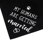 The Bandana That Lets Your Dog Announce the Engagement - dog product photo (view 5)