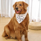 The Dog of Honor Bandana for the Best Guest at the Wedding - dog product photo (view 2)