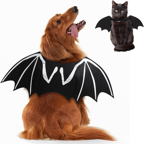 Bat Skeleton Costume for Dogs