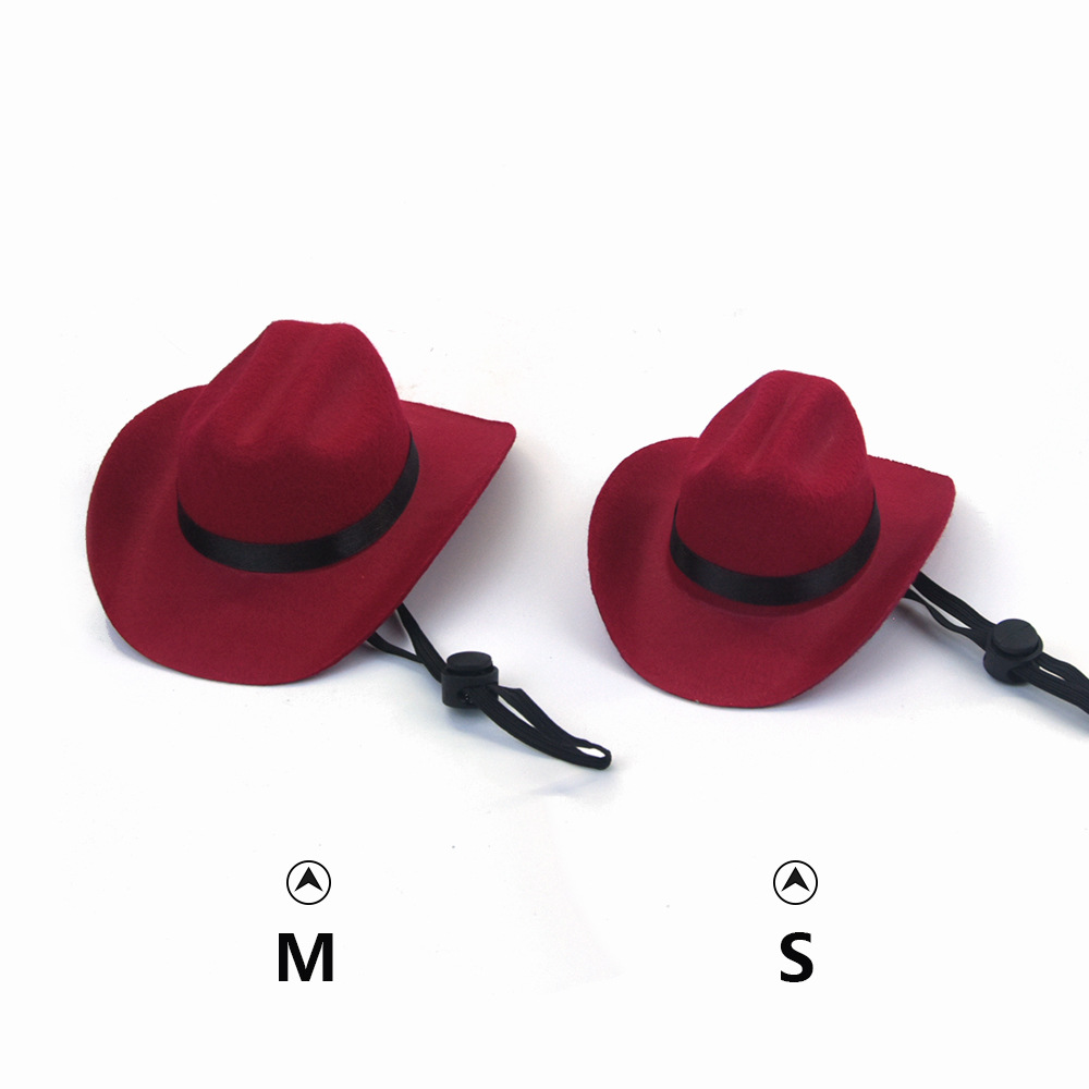 Small Cowboy Hat for Dogs (view 7)