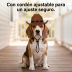 Small Cowboy Hat for Dogs (view 6)