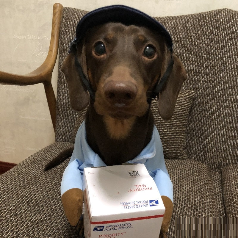 Halloween Express Costume for Small Dogs (view 2)
