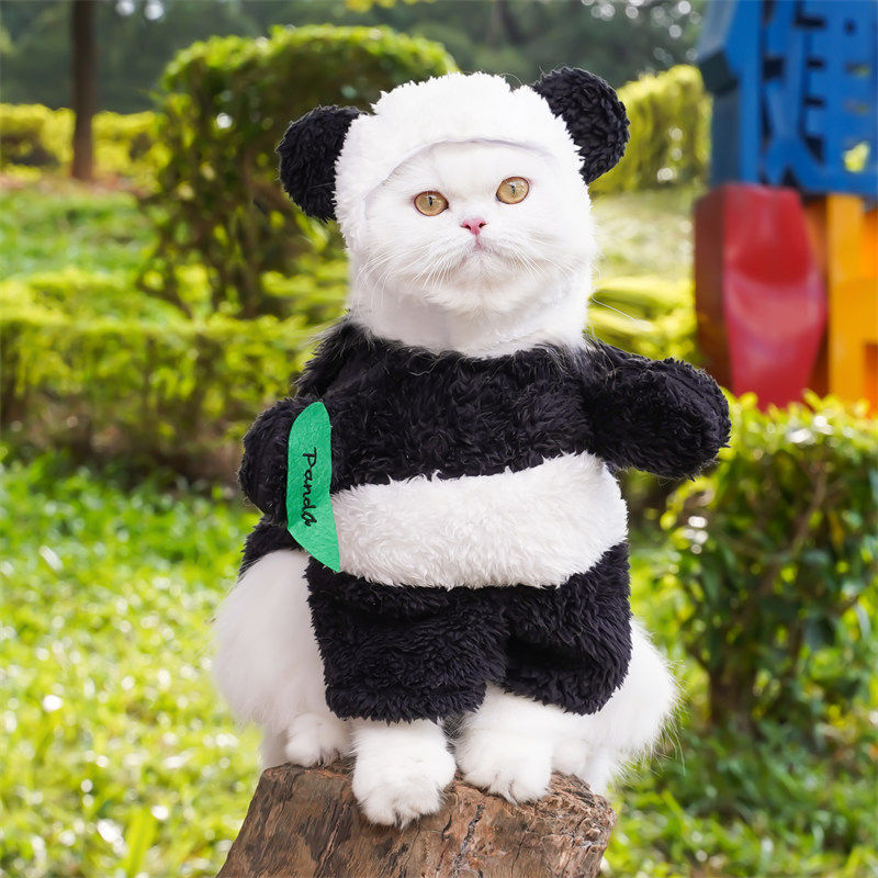 Panda Transformation Costume for Dogs