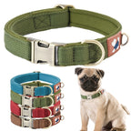 Dog Collar Webbing with Space Cotton Lining Adjustable Neck - dog product photo
