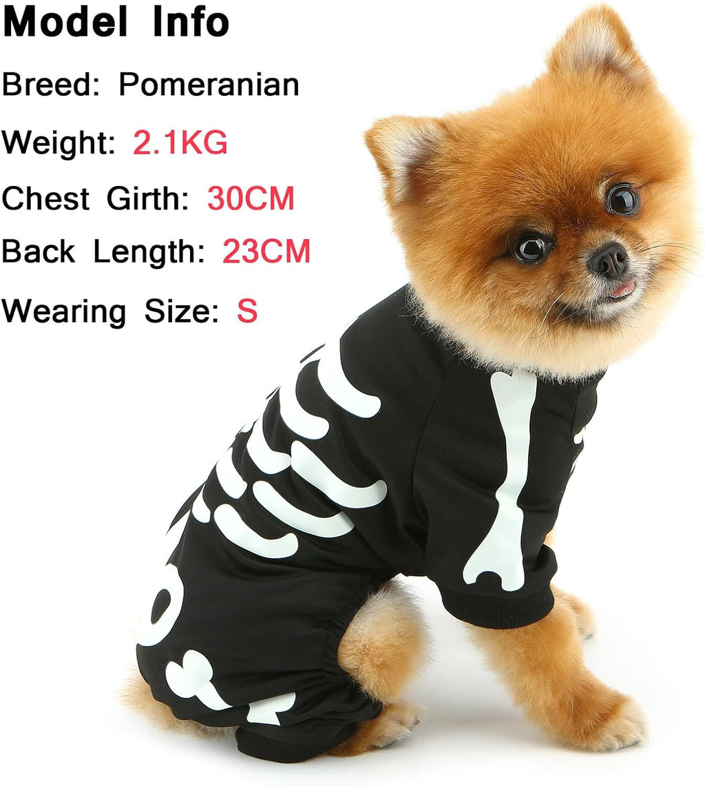 Glow-in-the-Dark Skeleton Costume for Small Dogs (view 5)