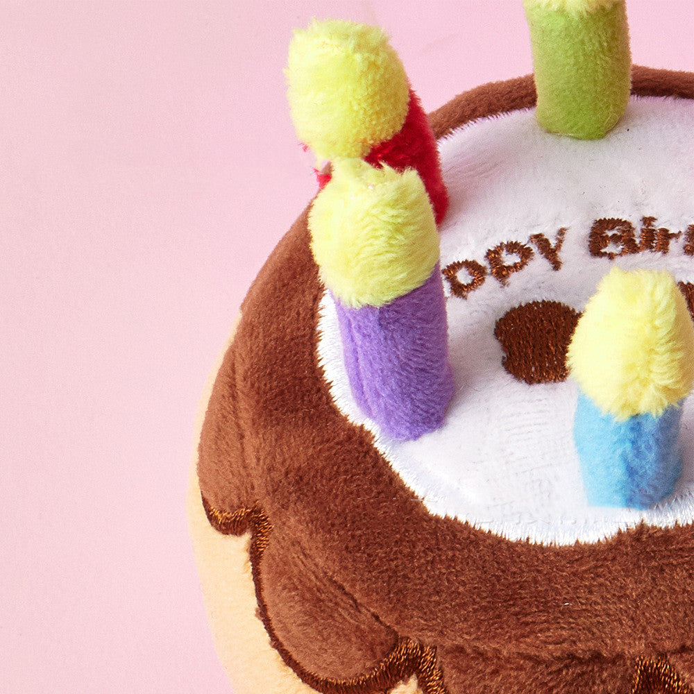 The Birthday Cake Your Dog Is Actually Allowed to Destroy - dog product photo (view 4)